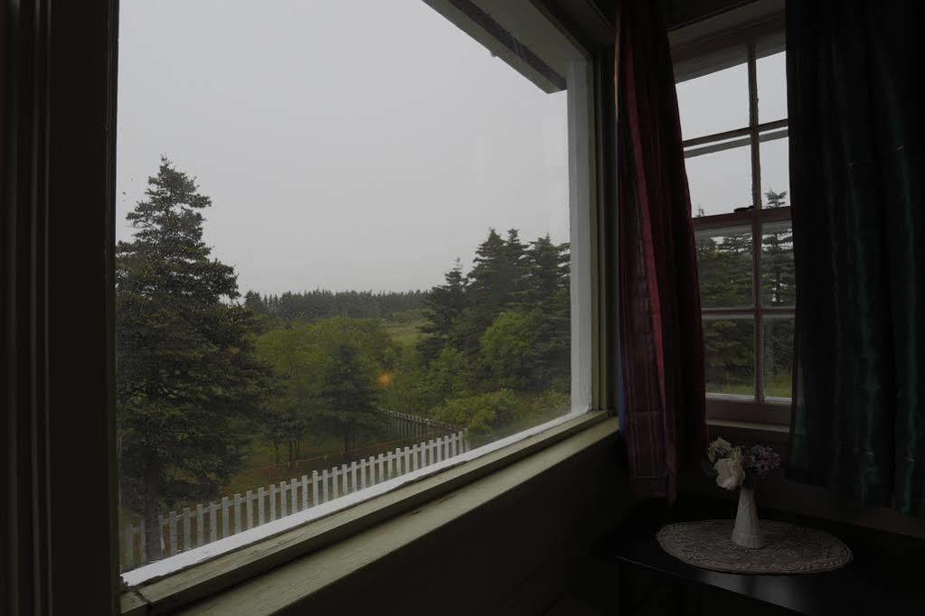 Meems Elliston B&B Exteriör bild
